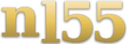 nl55 logo